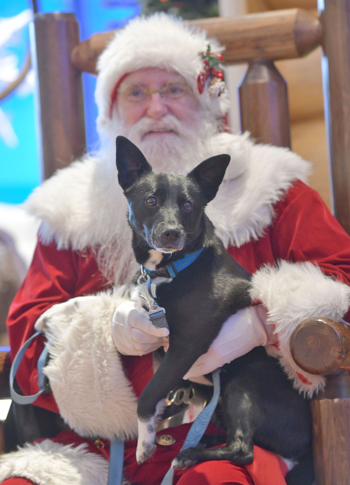 Talking to Santa